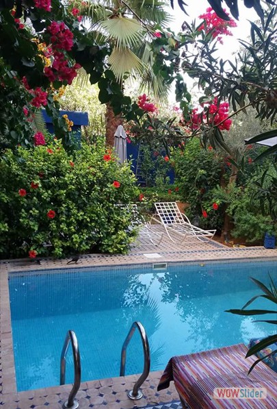 Piscine | Riad Jean Claude